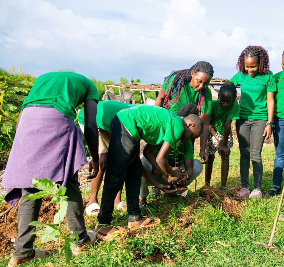 The Green Generation